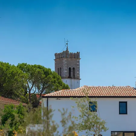 Victoria Brtonigla Holiday home *